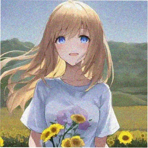 野画集信徒